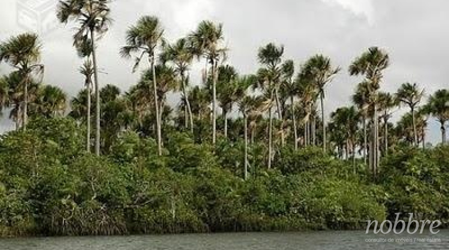 Fazenda a venda para crédito de carbono - Maranhão, Pará, Amazonas, Acre, Amapá, Rondônia.